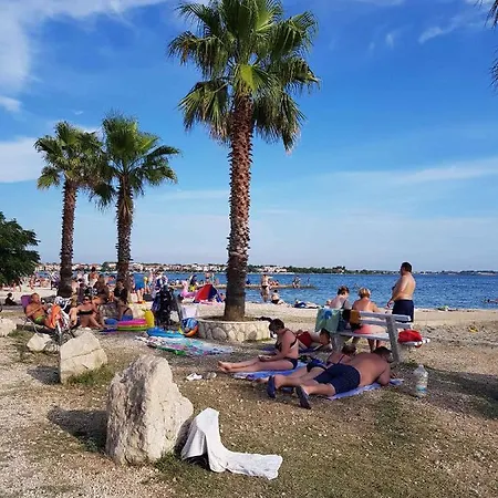In Vir/insel 34946